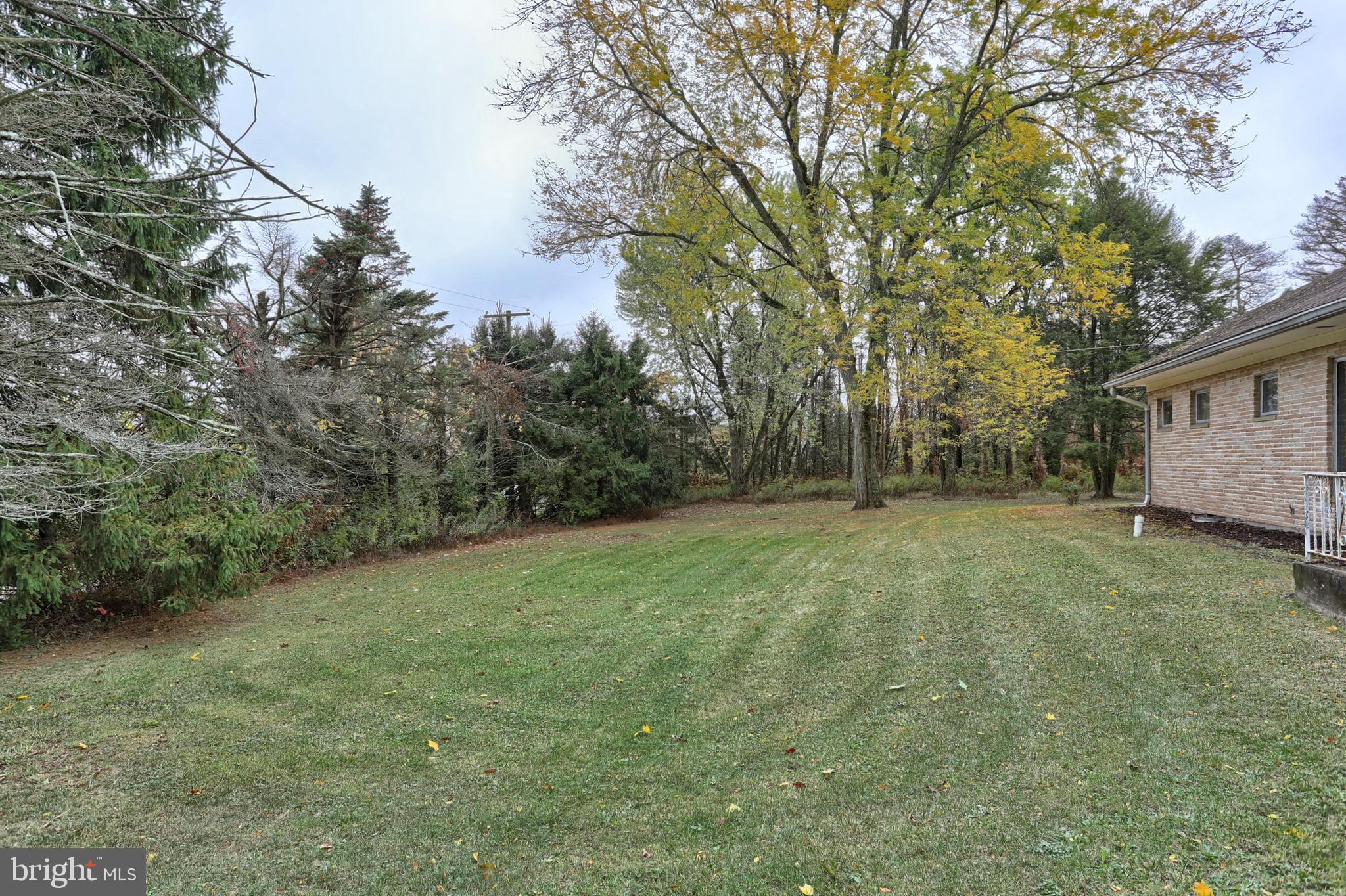 77 Tiley Road Ashland, PA 17921 - Photo 35 of 35 a view of a backyard with large trees