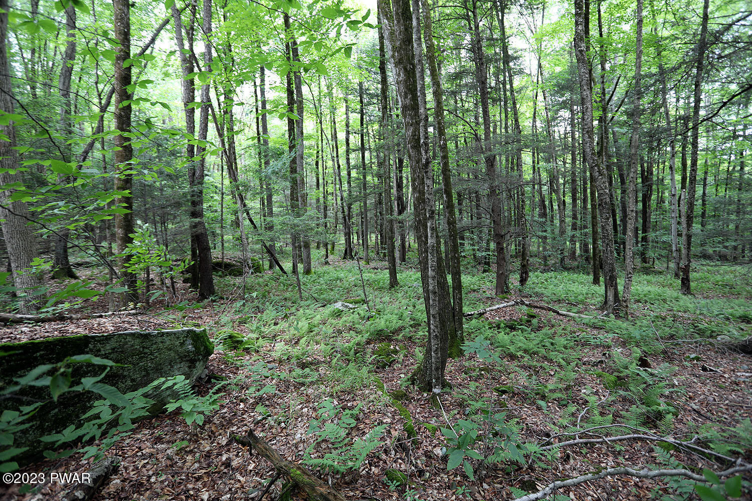 Lot D Spry Road Honesdale, PA 18431 - Photo 5 of 26