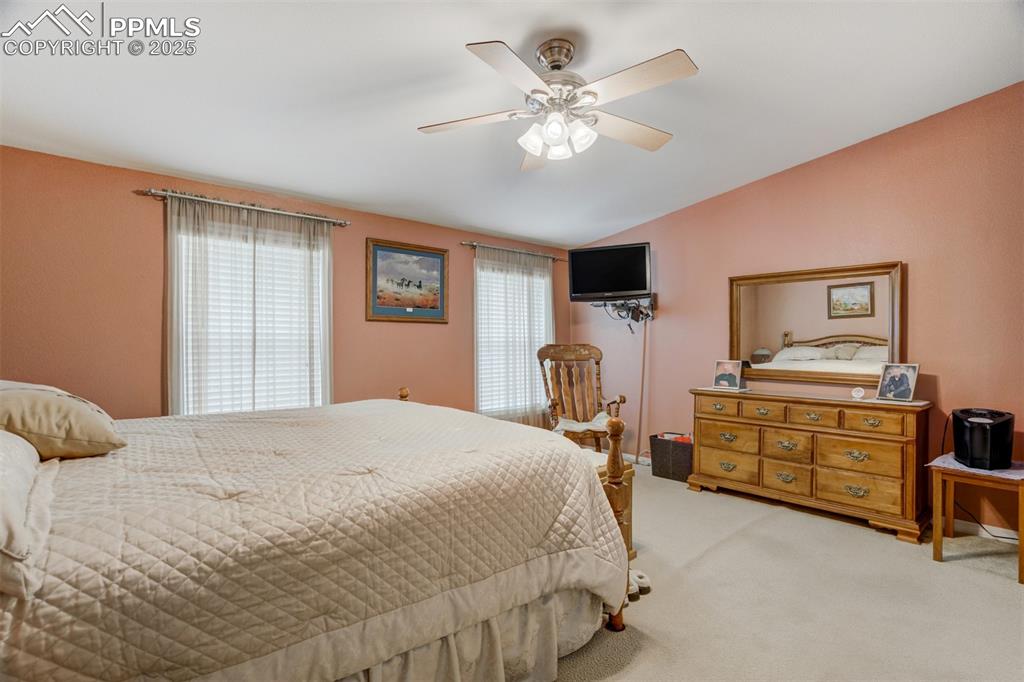 22038 County Road 2 Rush, CO 80833 - Photo 21 of 50 Bedroom with lofted ceiling, multiple windows, a ceiling fan, and carpet floors