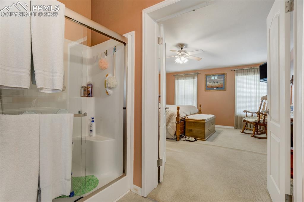 22038 County Road 2 Rush, CO 80833 - Photo 25 of 50 Ensuite bathroom with baseboards, ensuite bath, ceiling fan, and a stall shower