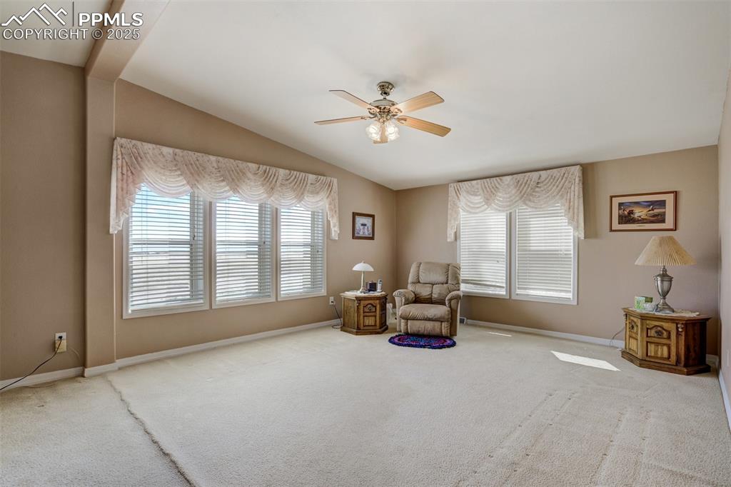22038 County Road 2 Rush, CO 80833 - Photo 26 of 50 Living area featuring a ceiling fan, carpet floors, baseboards, and vaulted ceiling