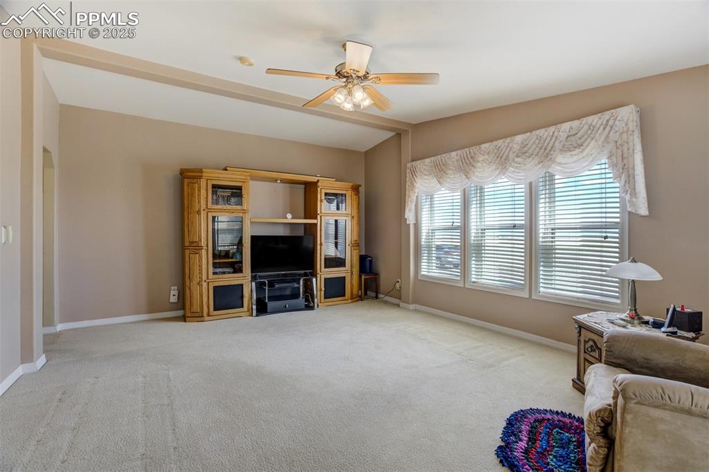 22038 County Road 2 Rush, CO 80833 - Photo 27 of 50 Carpeted living room featuring a ceiling fan and baseboards