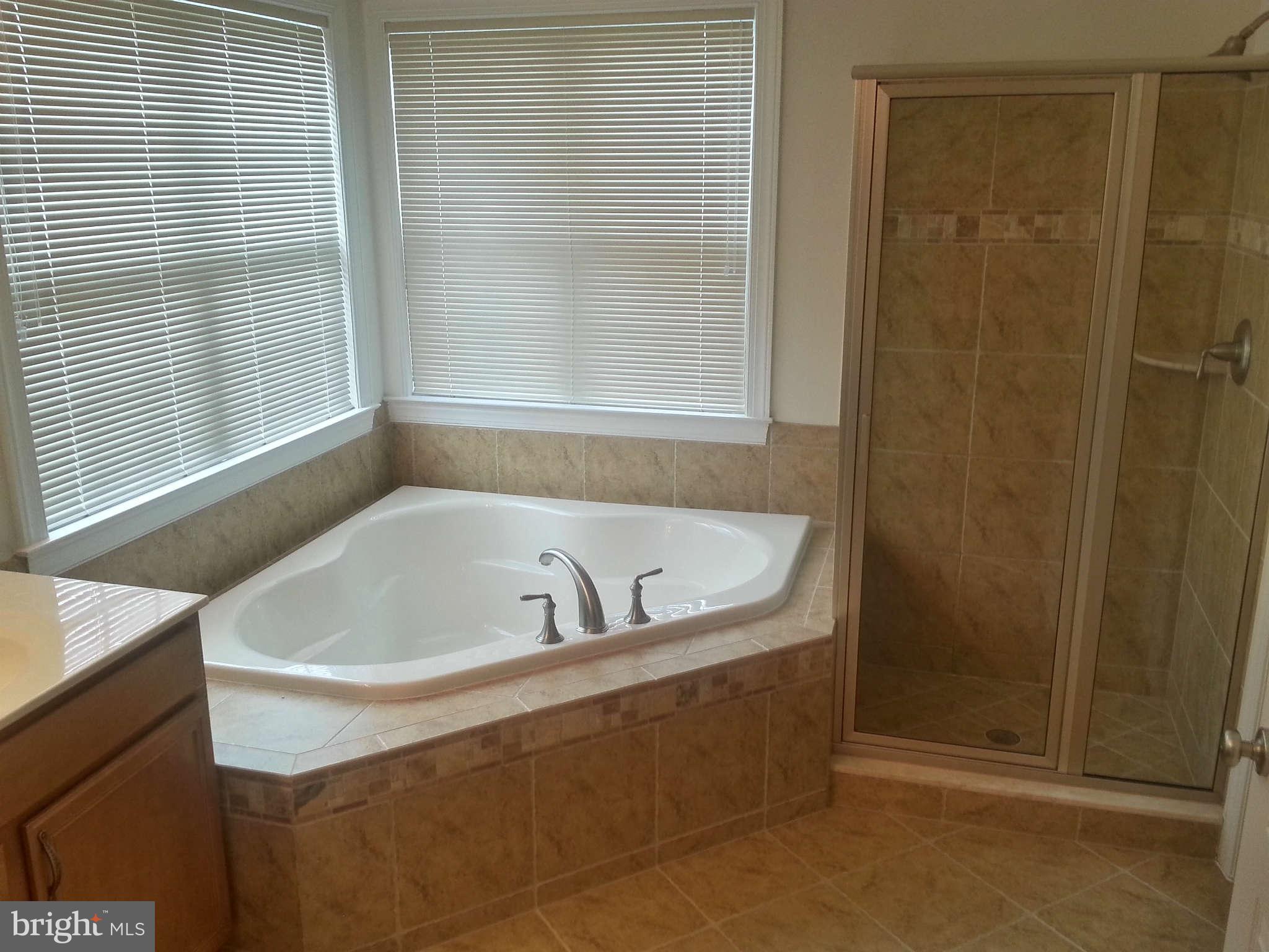 7759 Crystal Brook Way Hanover, MD 21076 - Photo 12 of 29 Bath Master