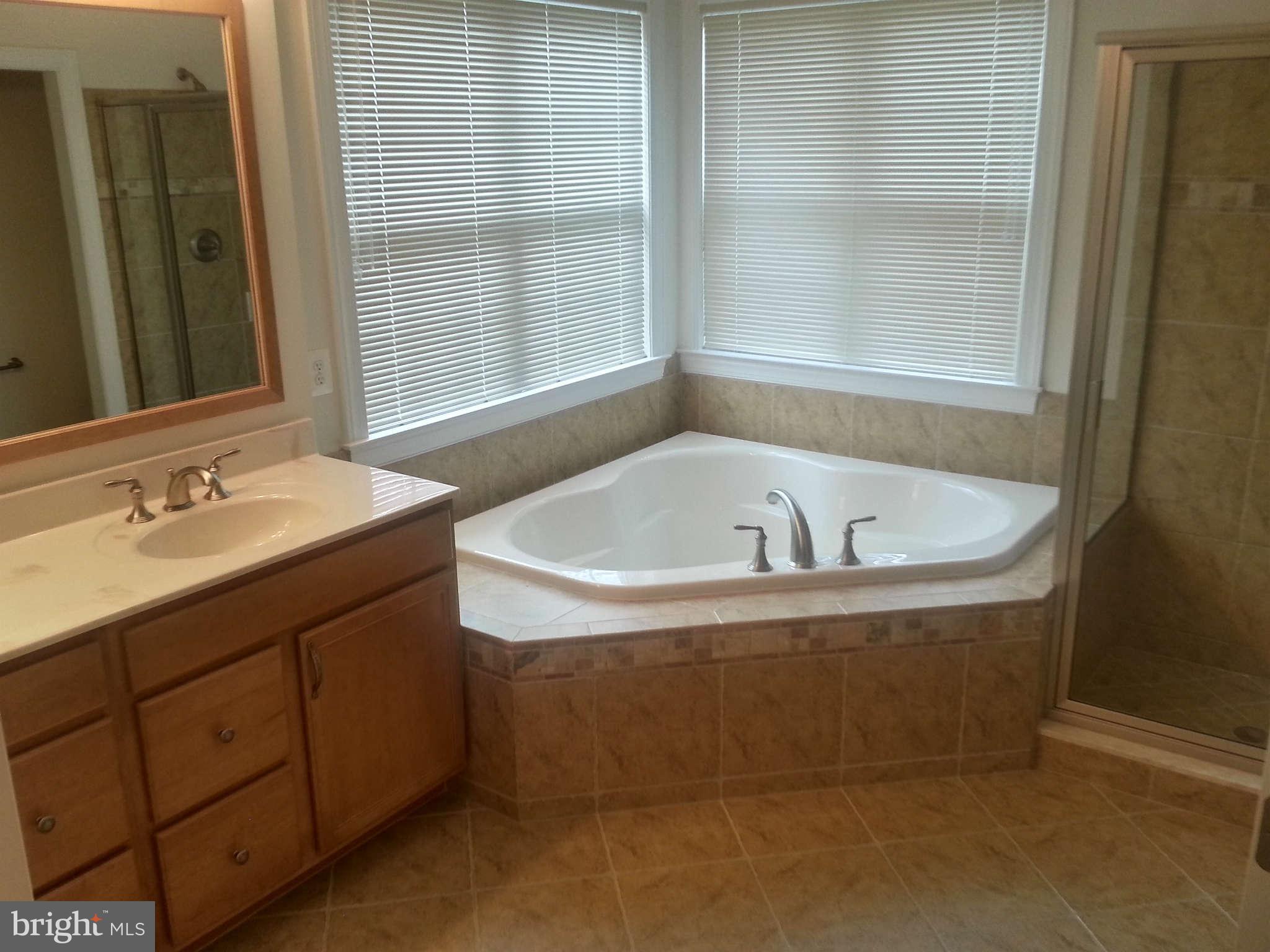 7759 Crystal Brook Way Hanover, MD 21076 - Photo 13 of 29 Bath Master