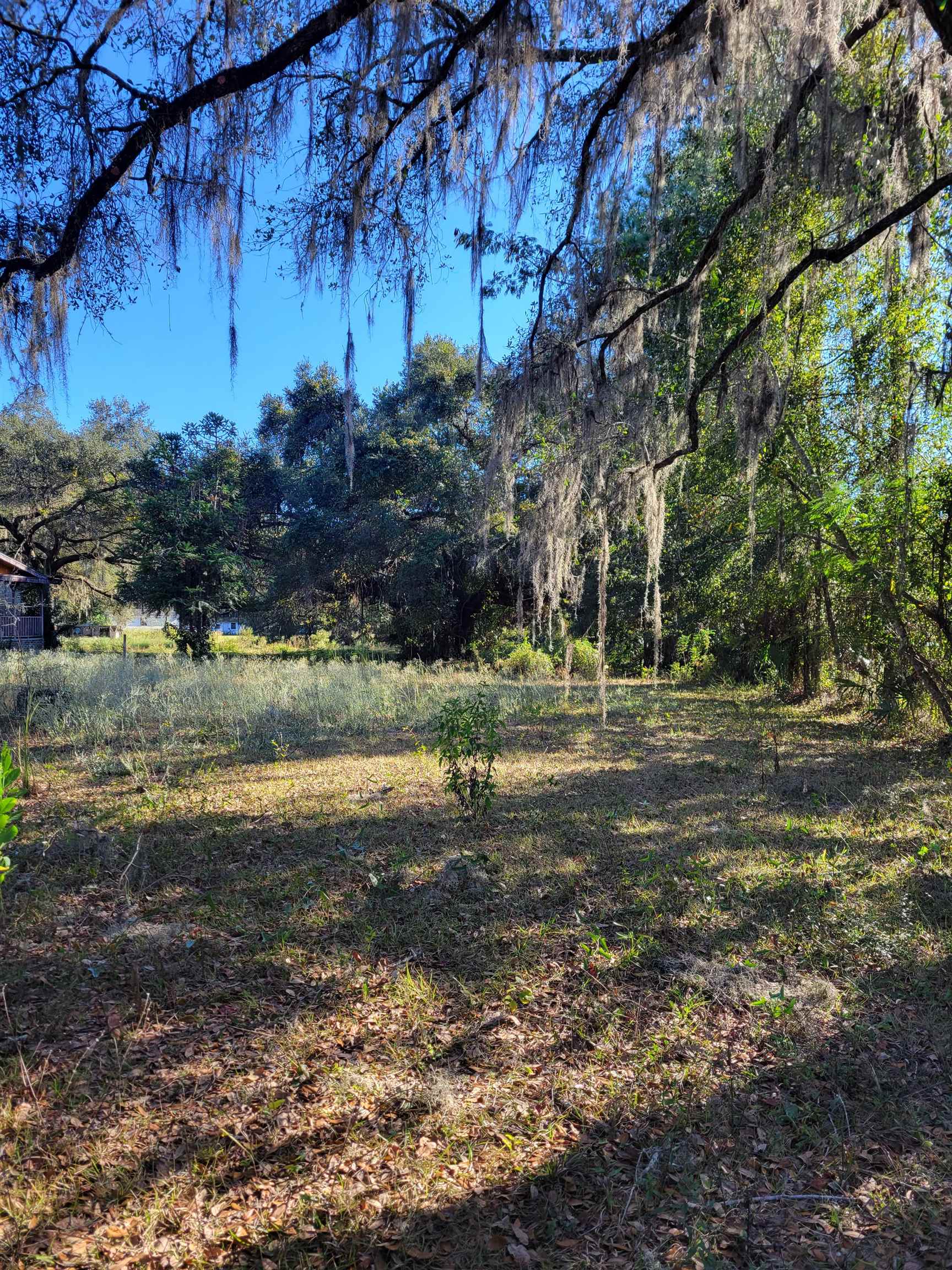 2984 Johnson Stripling Road Perry, FL 32347 - Photo 2 of 10
