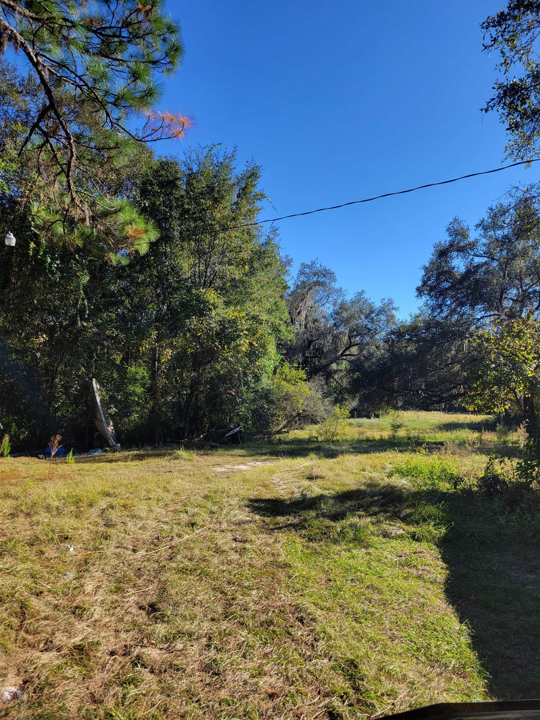 2984 Johnson Stripling Road Perry, FL 32347 - Photo 4 of 10