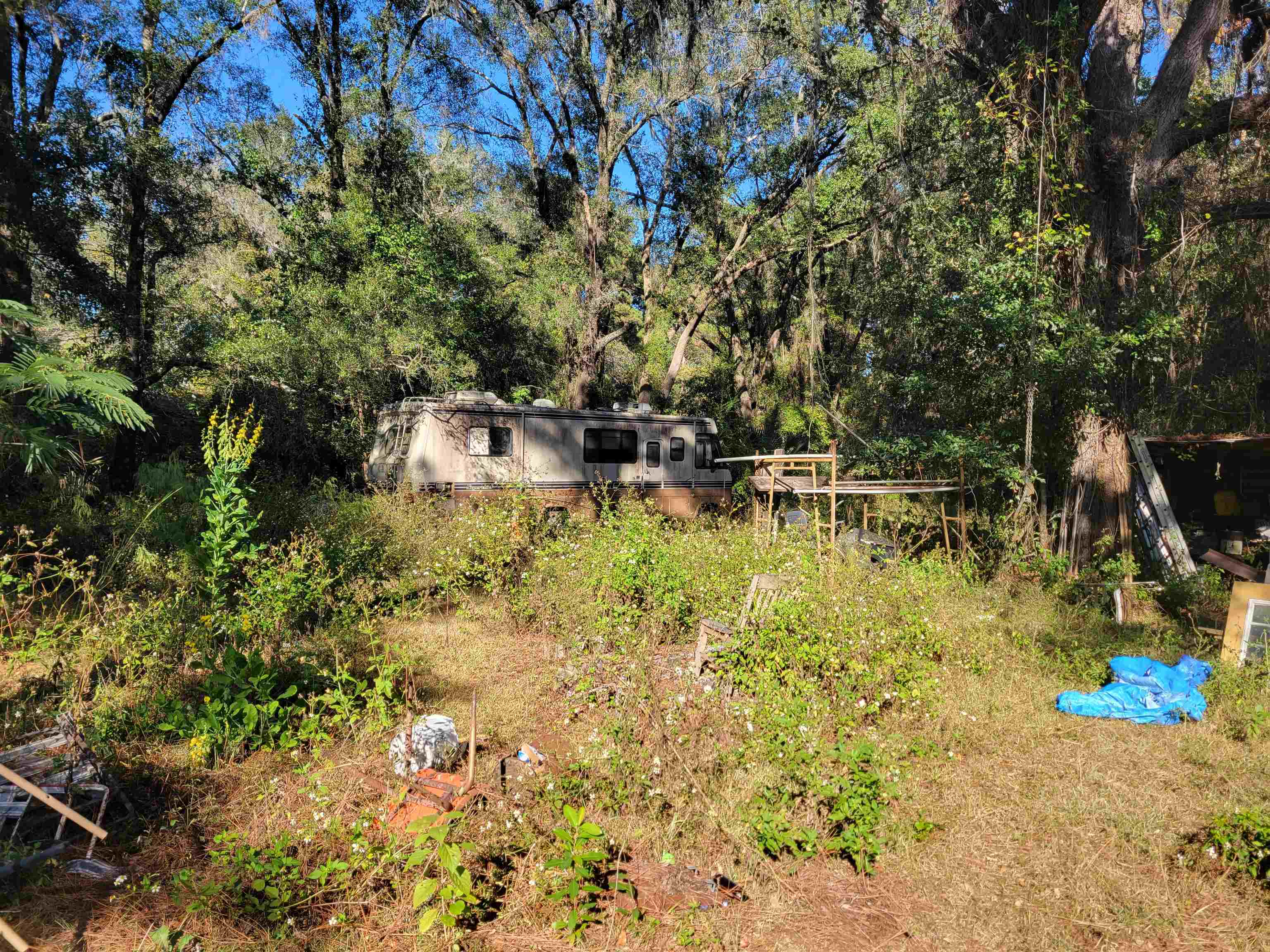 2984 Johnson Stripling Road Perry, FL 32347 - Photo 7 of 10