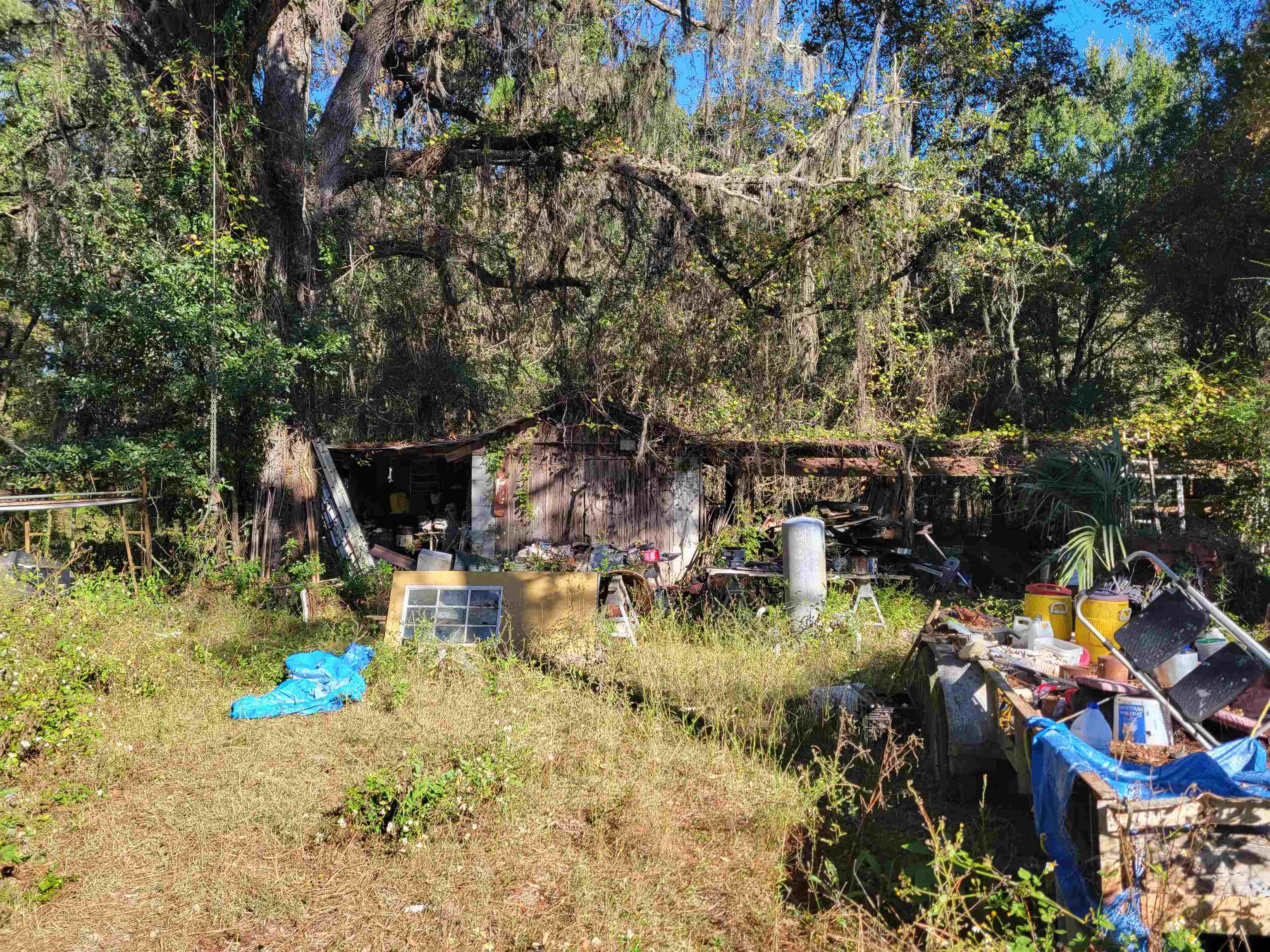 2984 Johnson Stripling Road Perry, FL 32347 - Photo 8 of 10