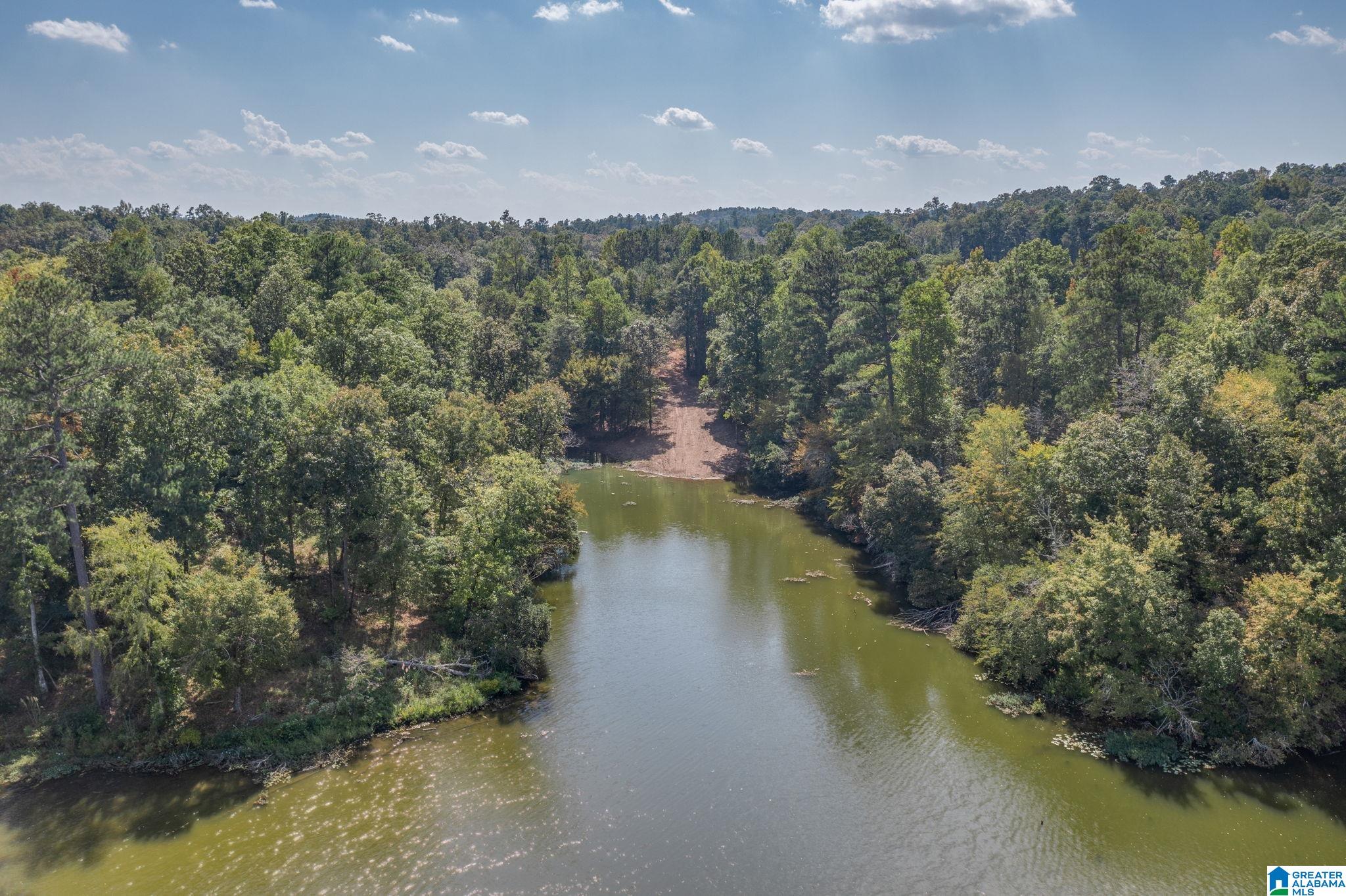 Lot 11 County Road 730, Unit 11 Clanton, AL 35046 - Photo 8 of 14