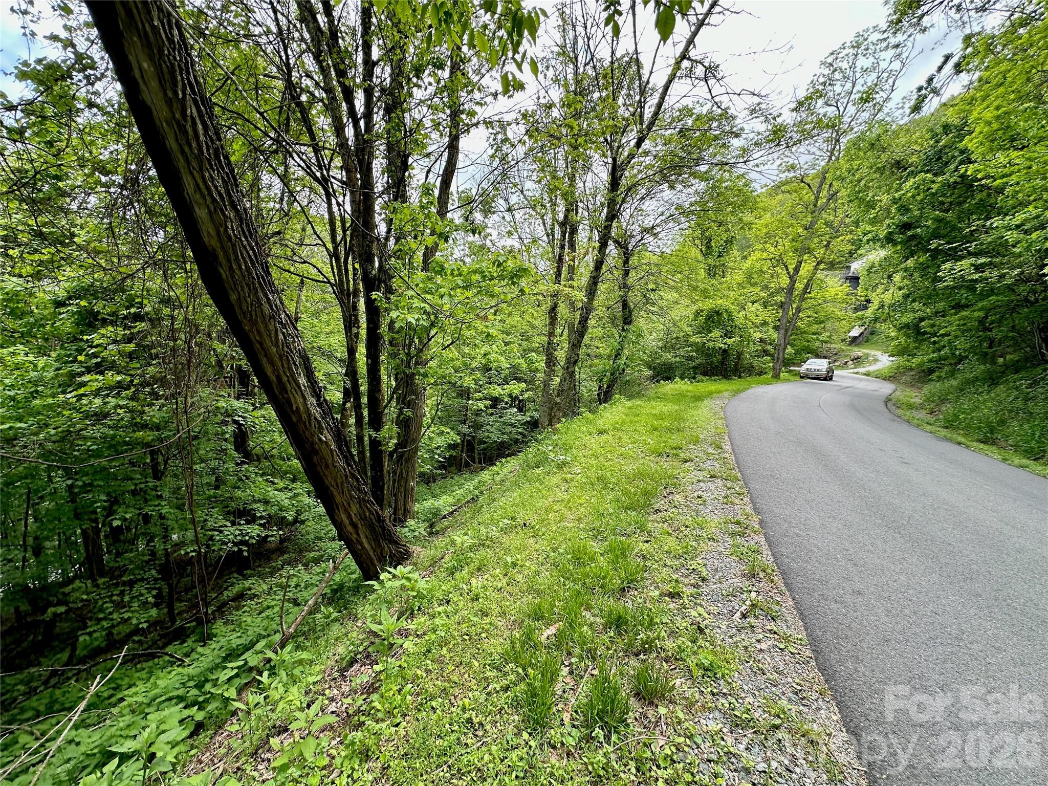 Seven Alpine Drive Banner Elk, NC 28604 - Photo 2 of 4 a view of a garden