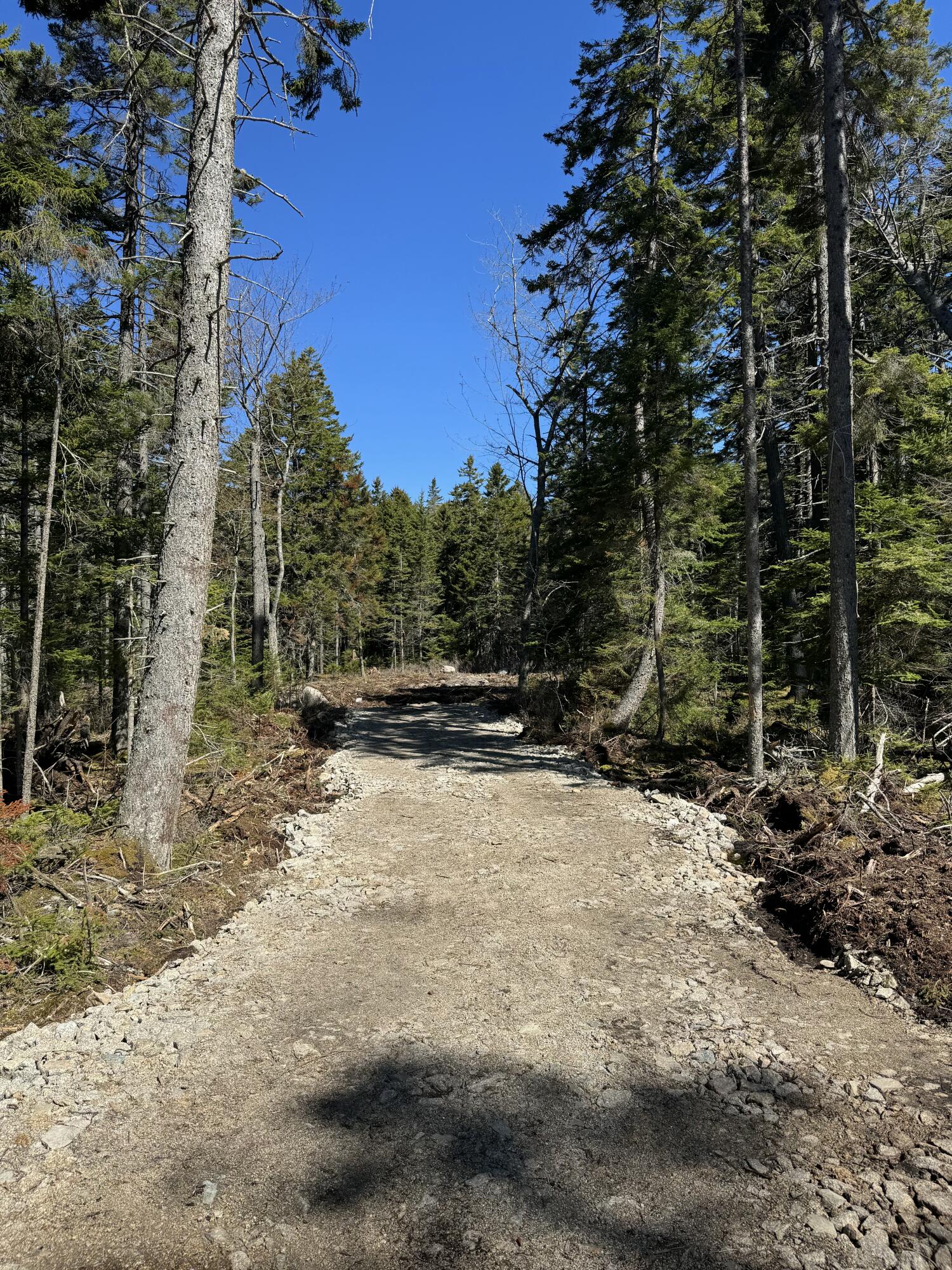 12 Jamestown Road Vinalhaven, ME 04863 - Photo 13 of 17