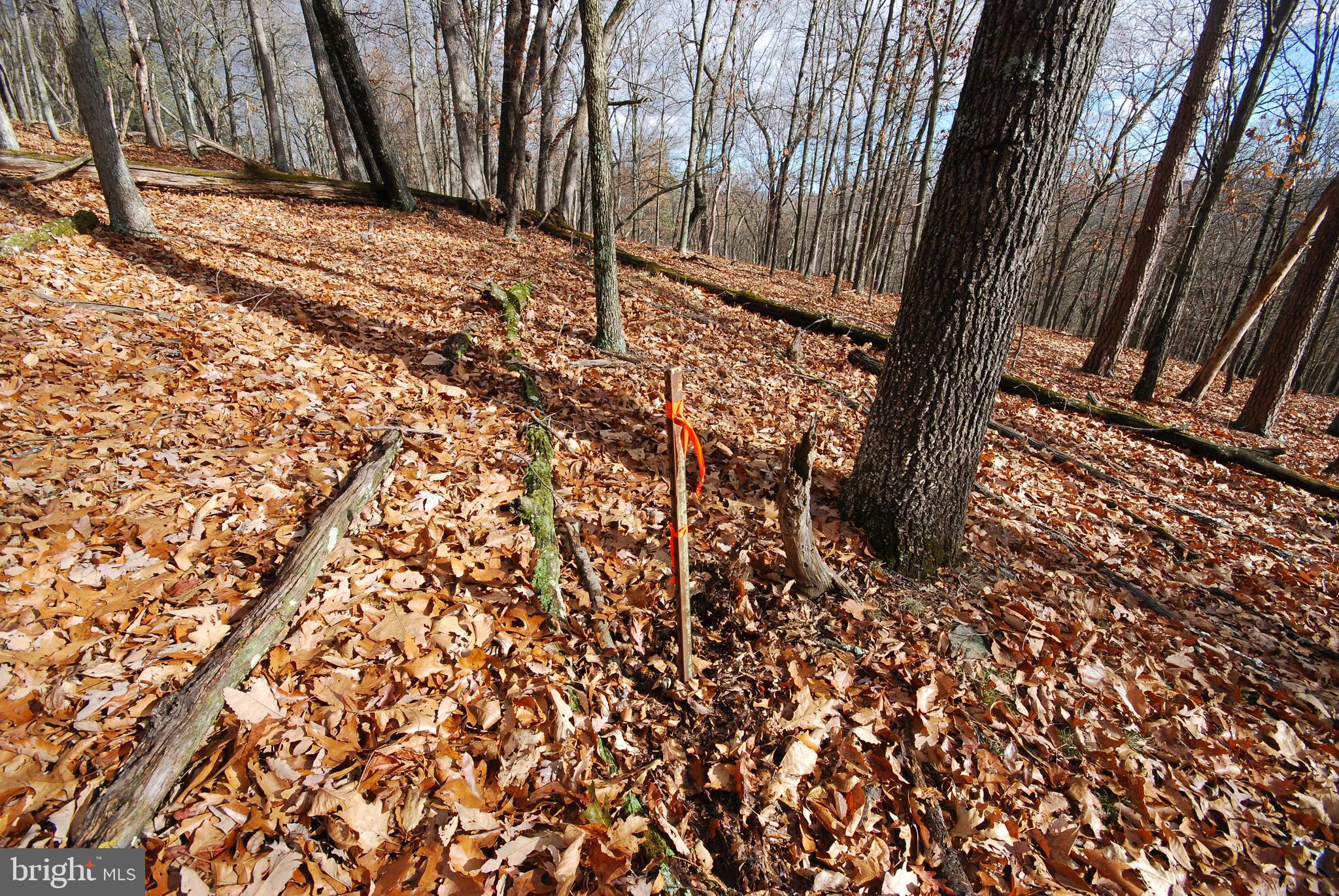 Lot 70-71 Mill Mountain Road Romney, WV 26757 - Photo 32 of 52