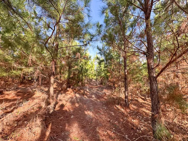 $80,798 | 4245 County Road 4245, De Kalb, TX 75559