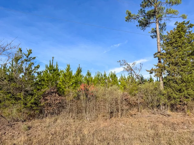 a view of a flower in a garden