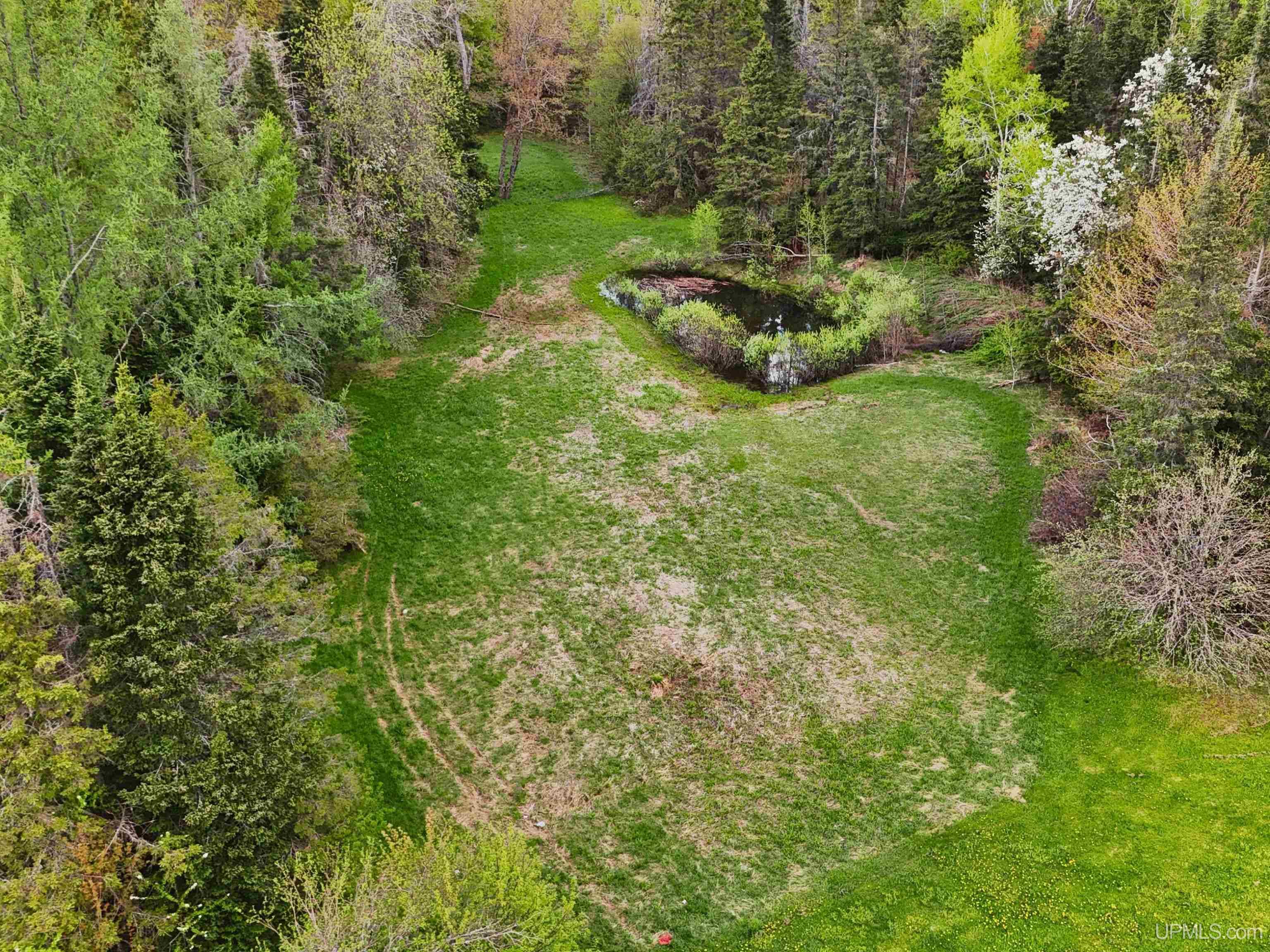 1738 RM Road Rock, MI 49880 - Photo 42 of 51