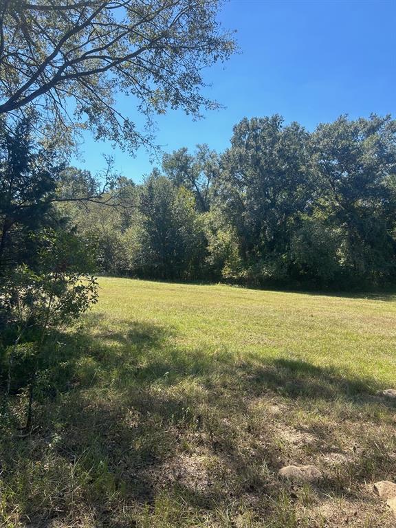 0 Fm 607 Street Murchison, TX 75778 - Photo 4 of 9 a view of yard with ocean view