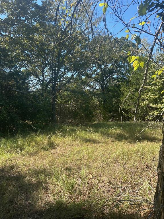 0 Fm 607 Street Murchison, TX 75778 - Photo 5 of 9 a view of a lake view
