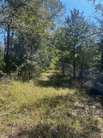 a view of lake with green space