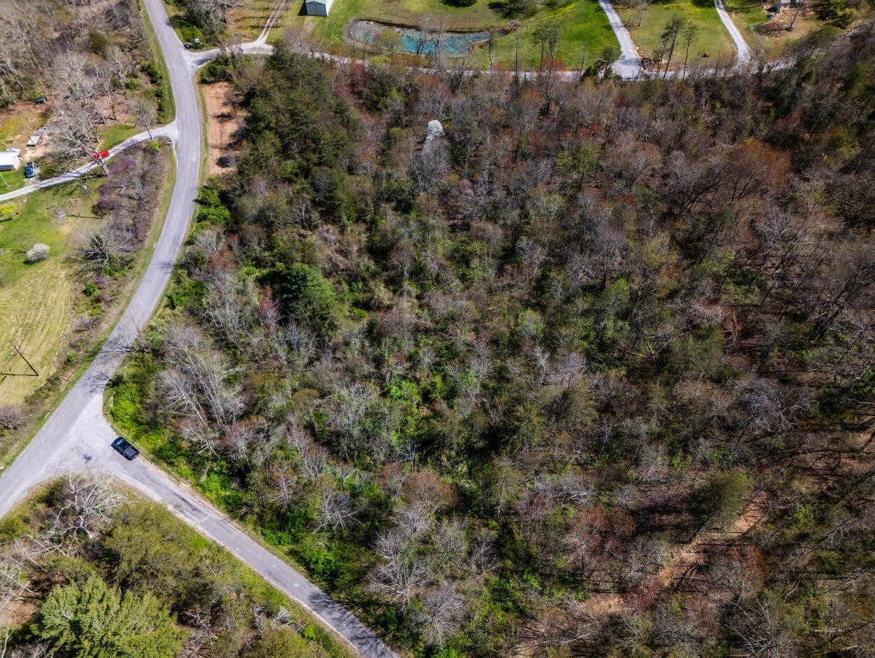 2 Clear Creek Road Monterey, TN 38574 - Photo 3 of 11 Gallery Image 3