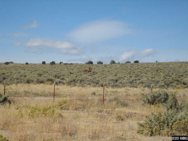 255 Oregon Boulevard Reno, NV 89506 - Photo 7 of 7 Photo 9