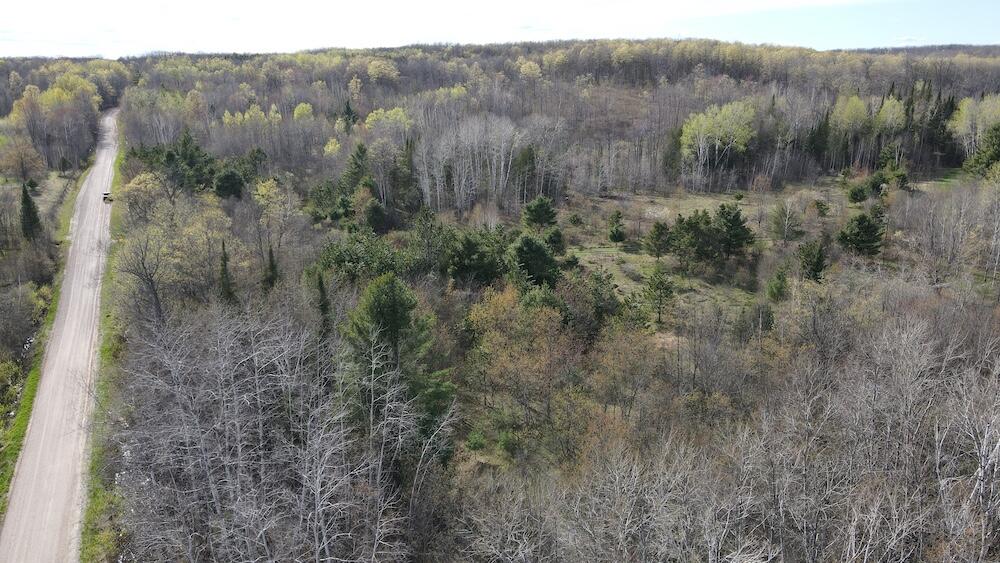 Vl Curtisville Road Mio, MI 48647 - Photo 21 of 141 DJI_0745