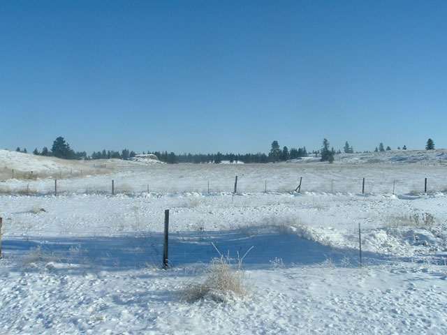 0 Mountview Road Creston, WA 99117 - Photo 8 of 9 Gallery Image 8