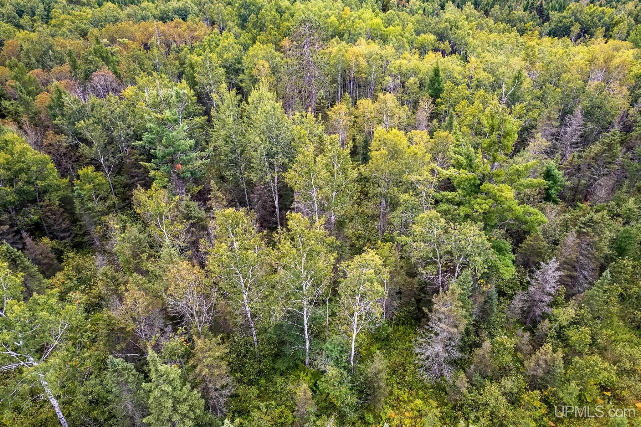 Tbd Murray 60 Road Perronville, MI 49873 - Photo 3 of 18