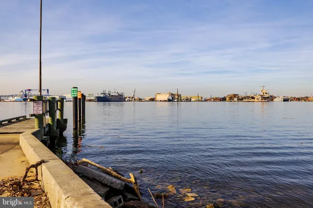a backyard of a house with lots of trees