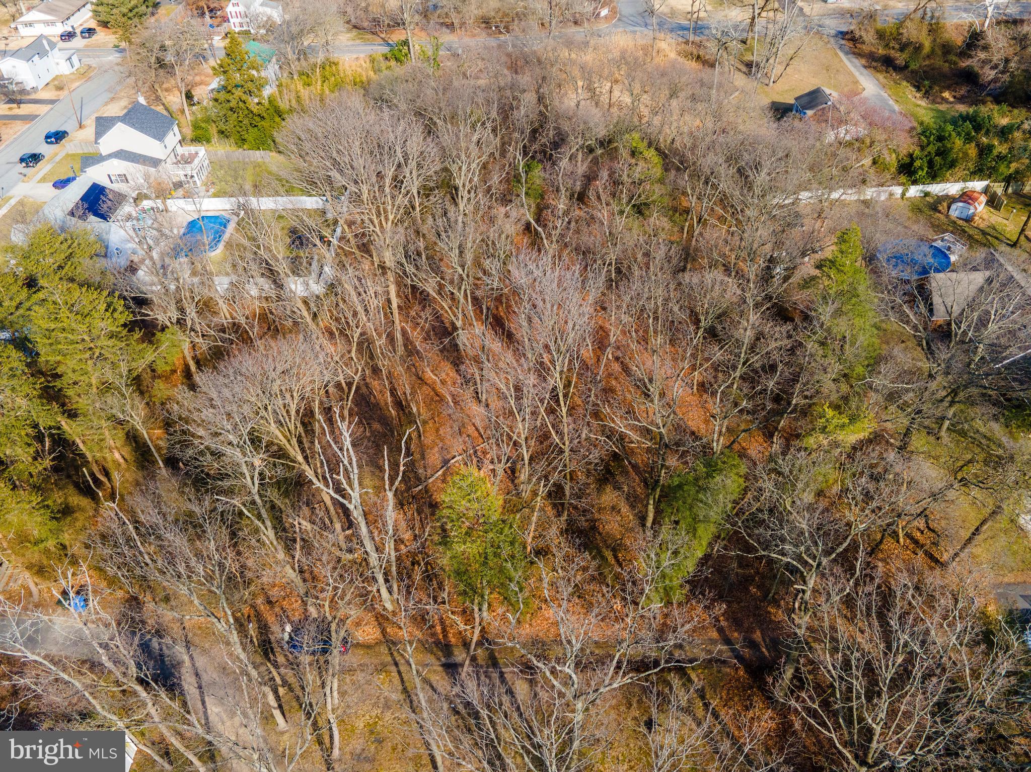 0 Third Dunop Thorofare, NJ 08086 - Photo 17 of 22 a backyard of a house with lots of trees
