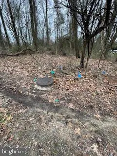 a view of dirt yard with a large tree
