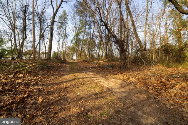 a view of yard covered with snow