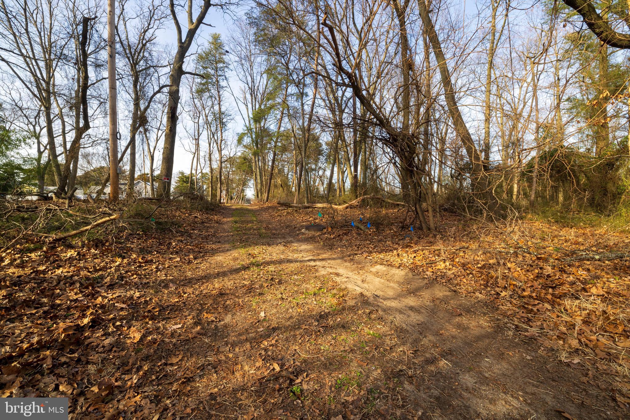 0 Third Dunop Thorofare, NJ 08086 - Photo 6 of 22 a view of dirt yard with a large tree