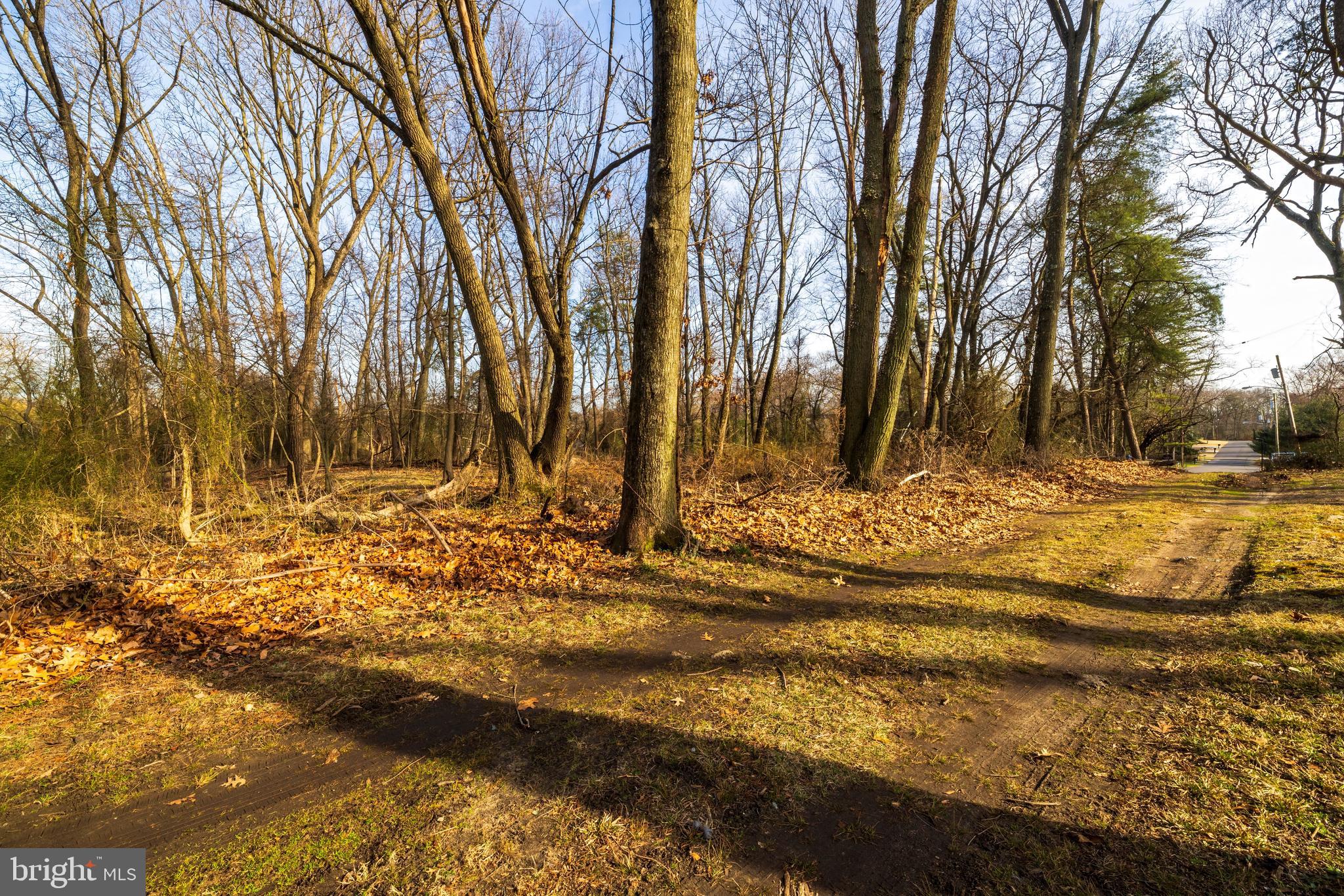 0 Third Dunop Thorofare, NJ 08086 - Photo 7 of 22 a view of yard covered with snow
