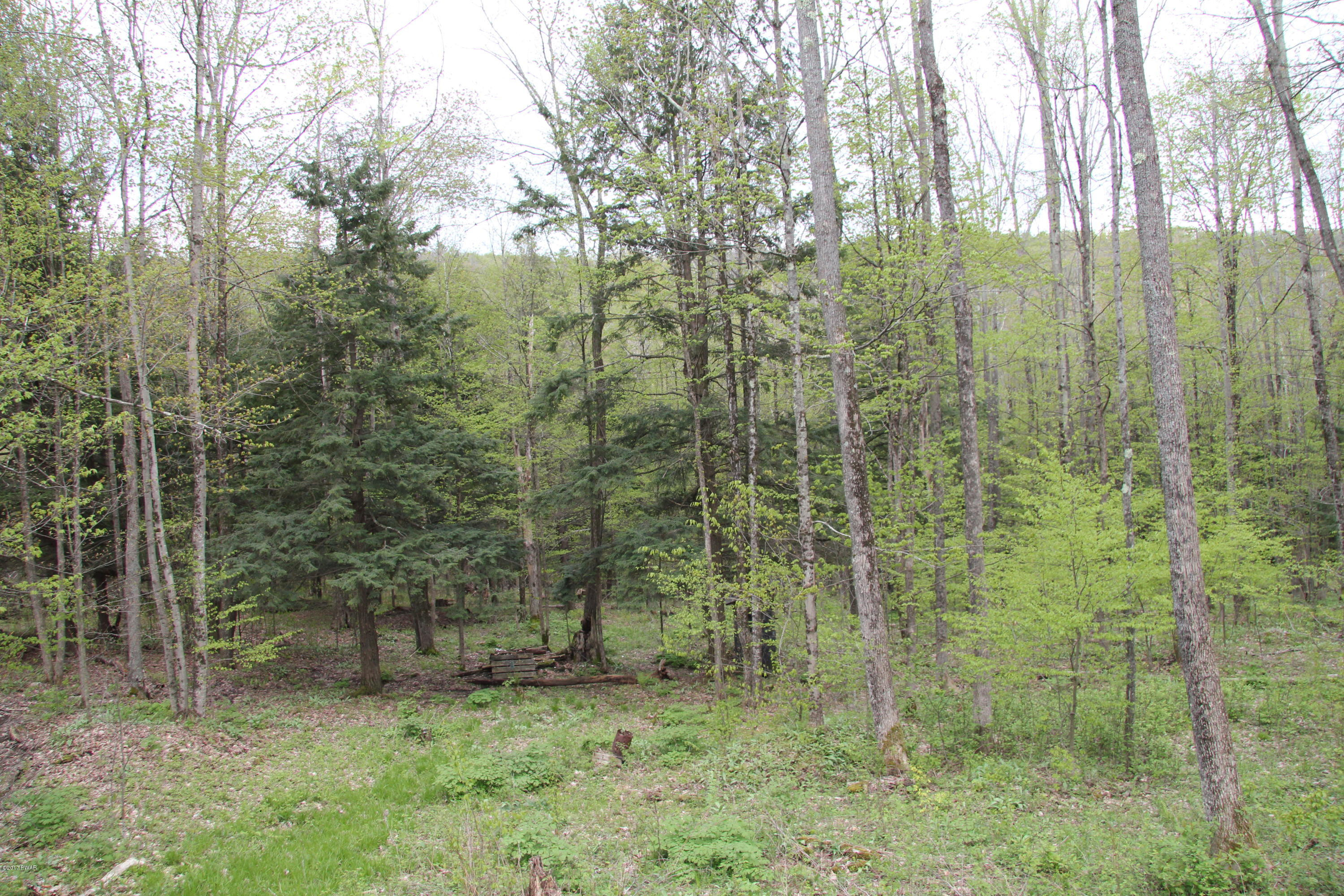 480 Wallerville Road Equinunk, PA 18417 - Photo 4 of 12
