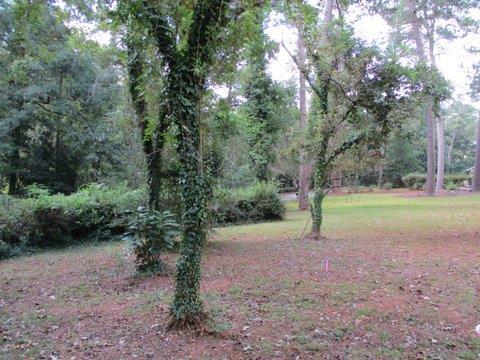 1152 South Jackson Springs Road Macon, GA 31211 - Photo 19 of 23 Additional Photo