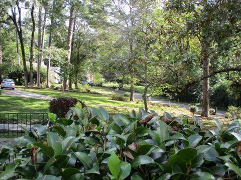 1152 South Jackson Springs Road Macon, GA 31211 - Photo 20 of 23 Additional Photo