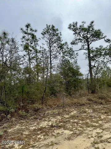 $24,900 | Lot 25 Aldoro Circle, Chipley, FL 32428