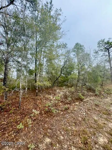 $24,900 | Lot 25 Aldoro Circle, Chipley, FL 32428