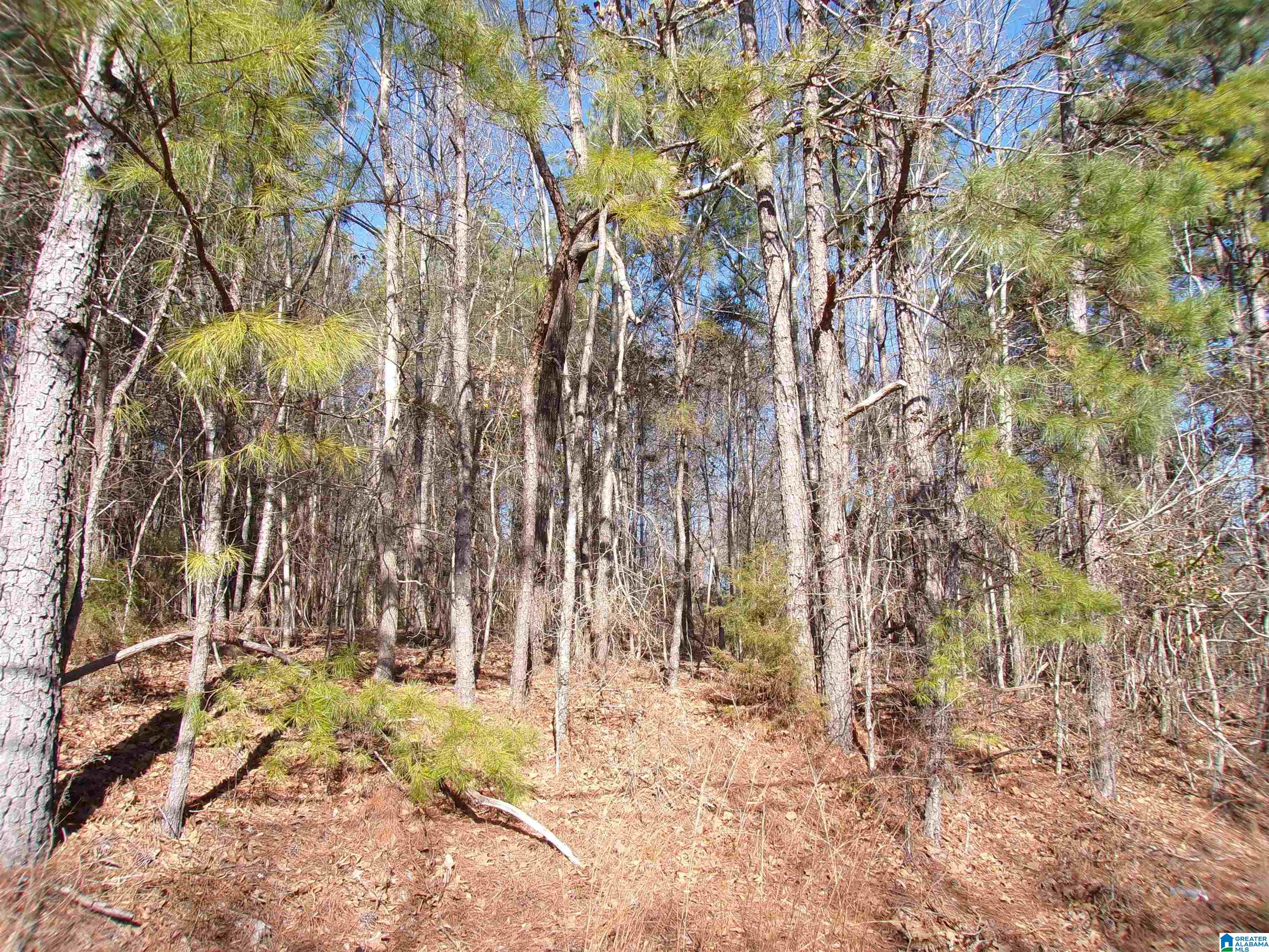 0 Arthur Drive, Unit 27 Weaver, AL 36277 - Photo 14 of 15