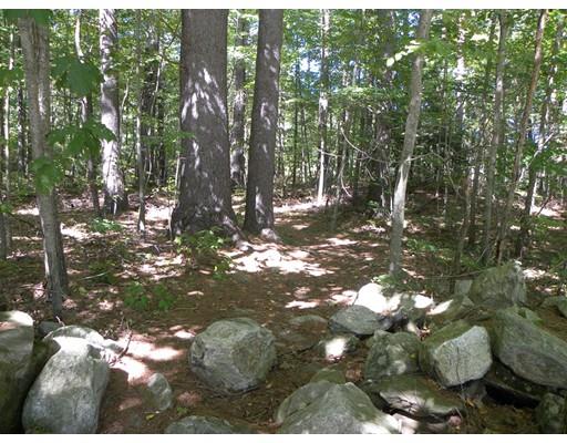 30 Wamsutta Ridge Road Charlton, MA 01507 - Photo 23 of 42 a view of a tree in a yard