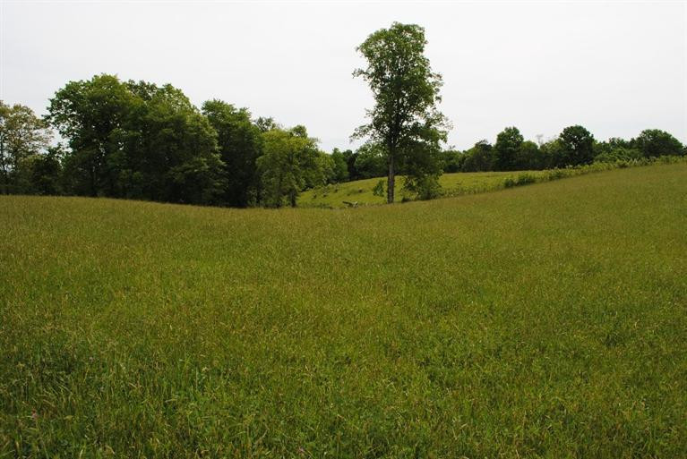 6248 Mt Zion Road London, KY 40741 - Photo 30 of 55 Photo 30