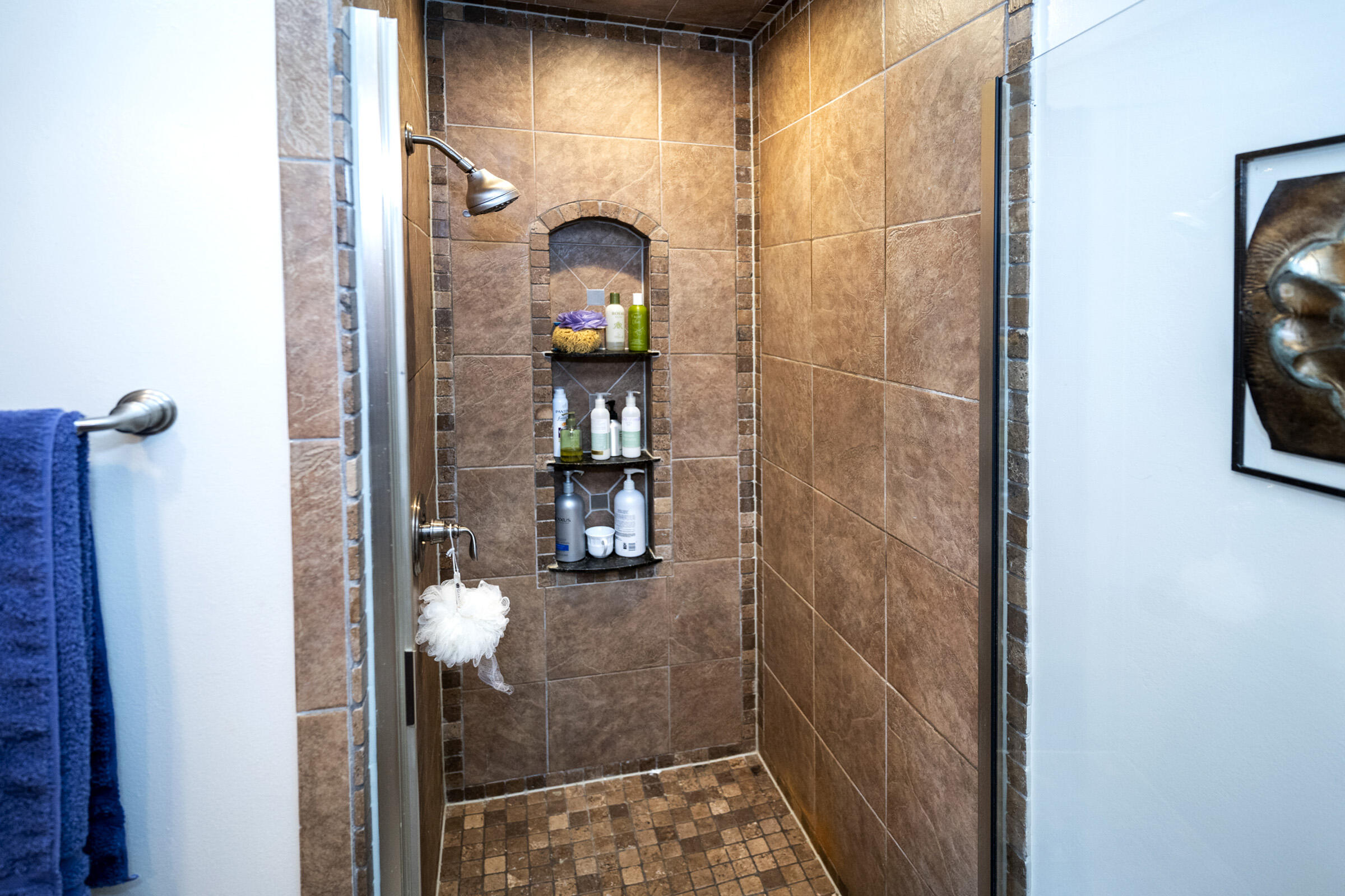 1134 Pilgrim Parkway Elm Grove, WI 53122 - Photo 25 of 43 Primary Walk-in Shower