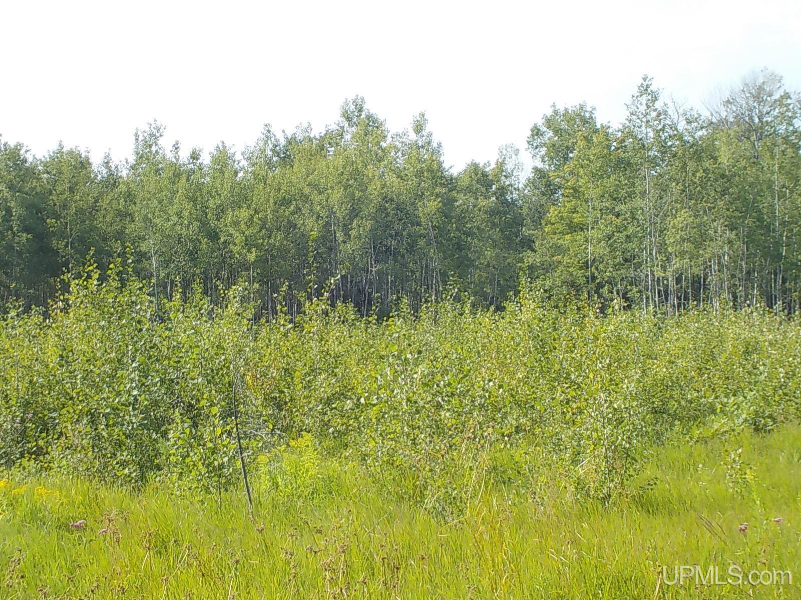 20-ac Phelan Road Crystal Falls, MI 49920 - Photo 8 of 8 Gallery Image 8