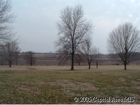 8032 Bomke Road Pleasant Plains, IL 62677 - Photo 5 of 5
