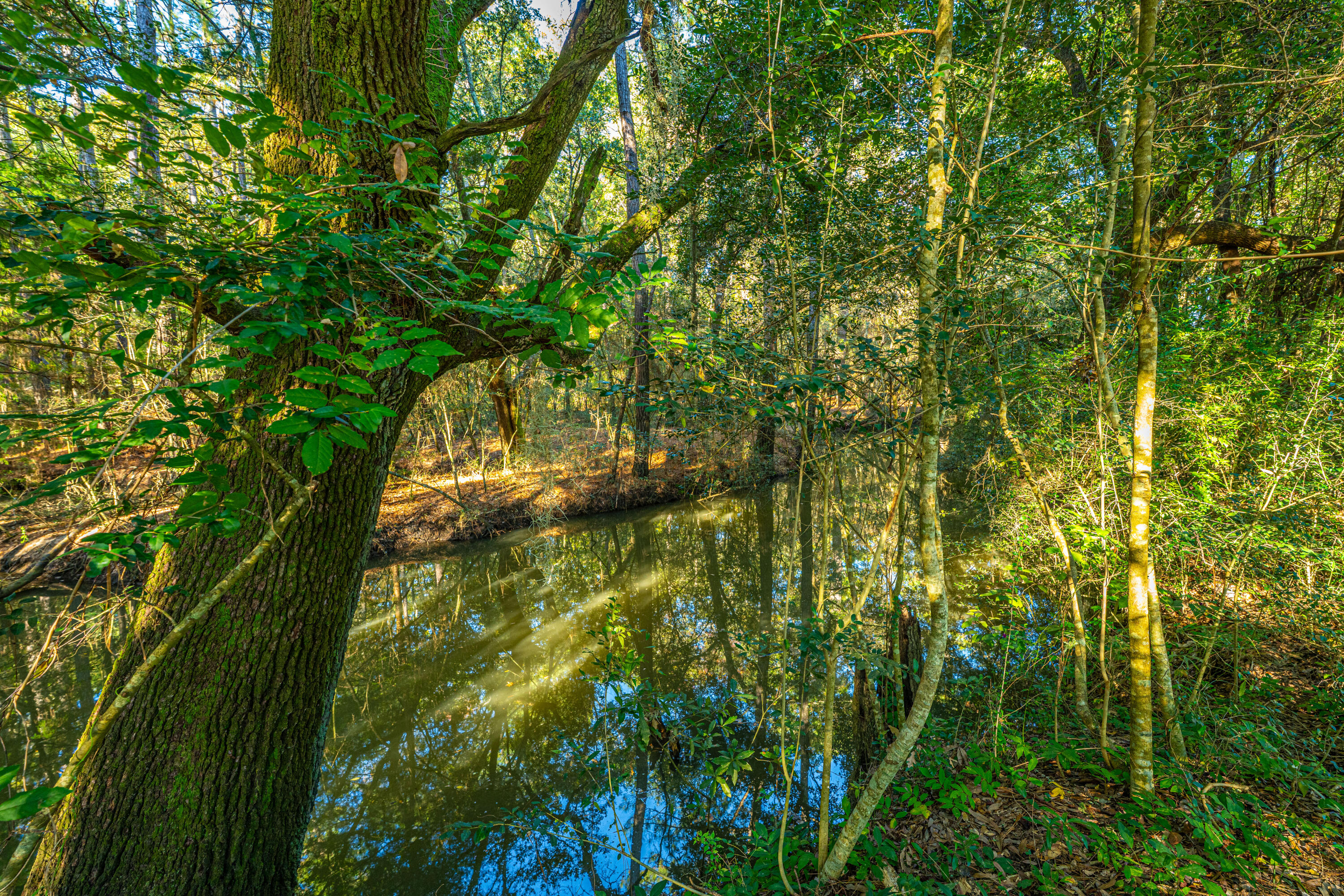 1063 South Pinckney Street McClellanville, SC 29458 - Photo 14 of 21 1063SPinckney050