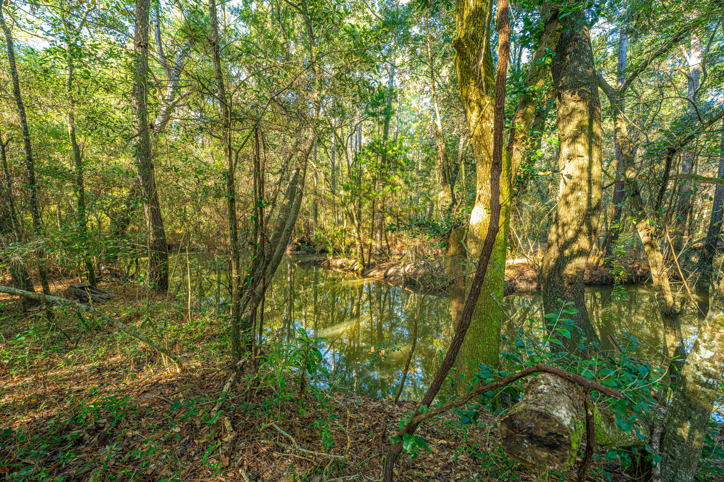 1063 South Pinckney Street McClellanville, SC 29458 - Photo 6 of 21 1063SPinckney052