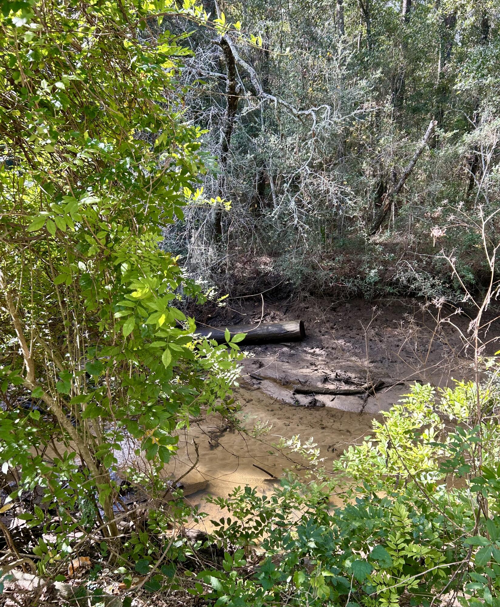1063 South Pinckney Street McClellanville, SC 29458 - Photo 7 of 21 IMG_8647