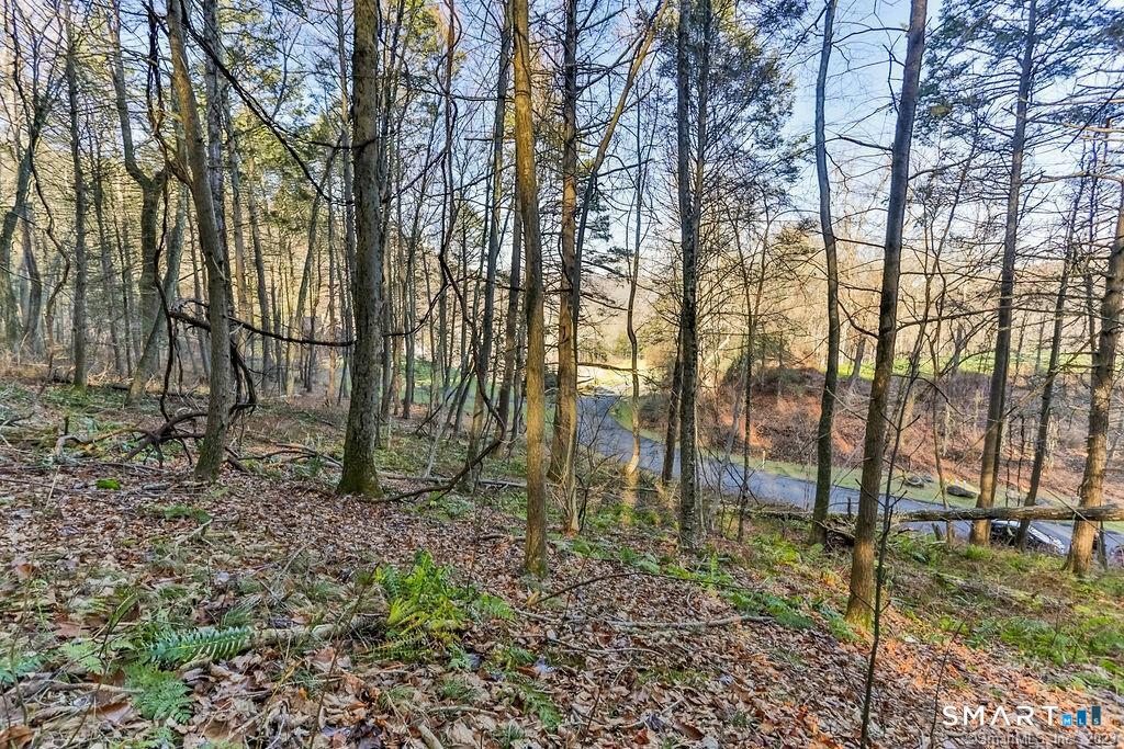 40 Long River Road Sherman, CT 06784 - Photo 10 of 24 a backyard of a house with lots of green space