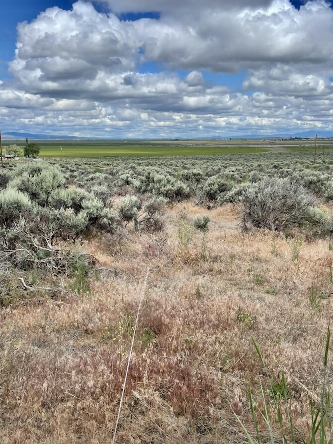 0 Chinook Road, Unit 200 Christmas Valley, OR 97641 - Photo 5 of 6 a view of an ocean