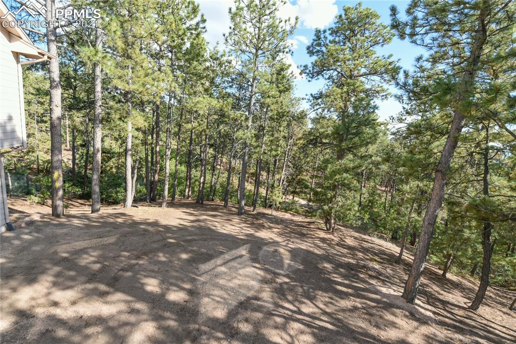 14645 Roller Coaster Road Colorado Springs, CO 80921 - Photo 34 of 40